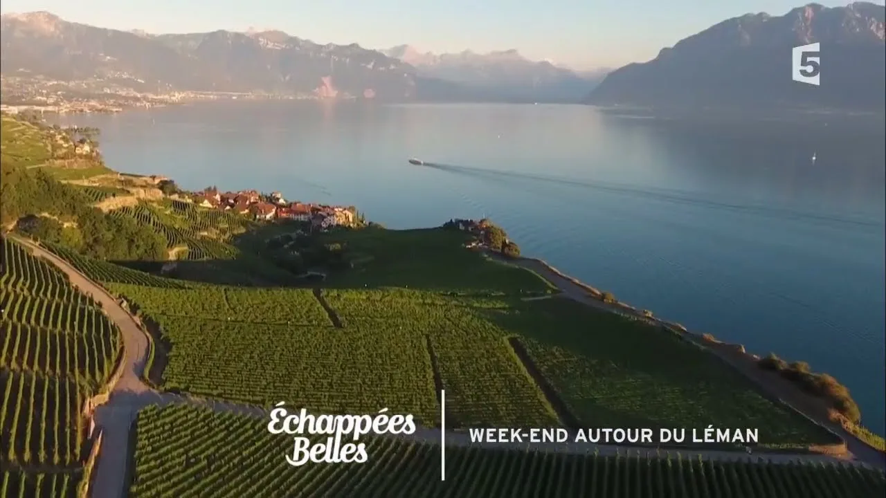 Évasion gourmande au lac léman: rencontre avec les passionnés du terroir qui savourent la vie